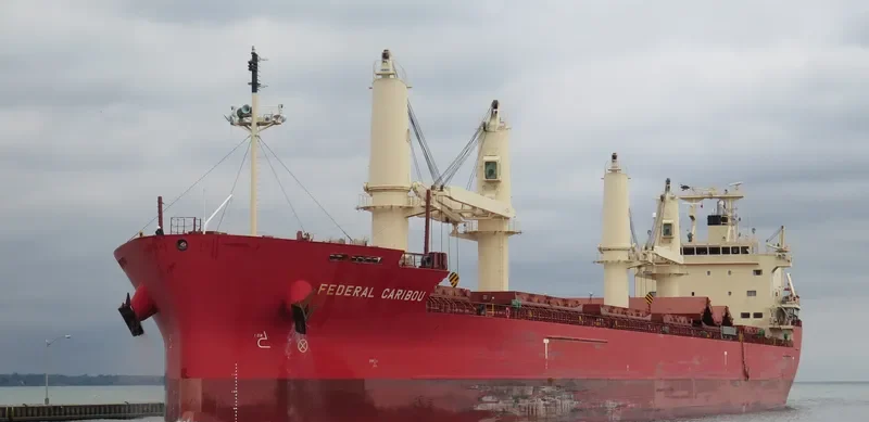 FEDERAL CARIBOU Bulk Carrier IMO 9671096 photo 2