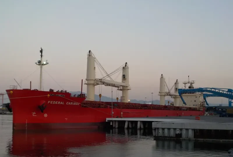 FEDERAL CARIBOU Bulk Carrier IMO 9671096 photo 4