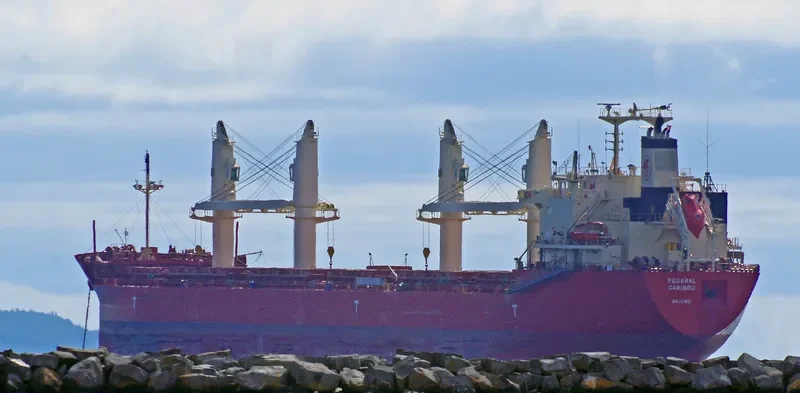 FEDERAL CARIBOU Bulk Carrier IMO 9671096 photo 7