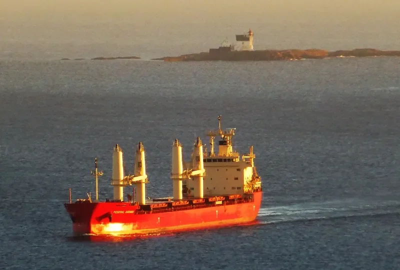 FEDERAL CARIBOU Bulk Carrier IMO 9671096 photo 8