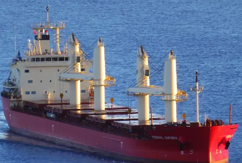 FEDERAL CARIBOU Bulk Carrier IMO 9671096 photo 9