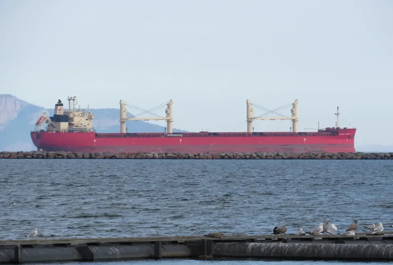 FEDERAL CARIBOU Bulk Carrier IMO 9671096 photo 10