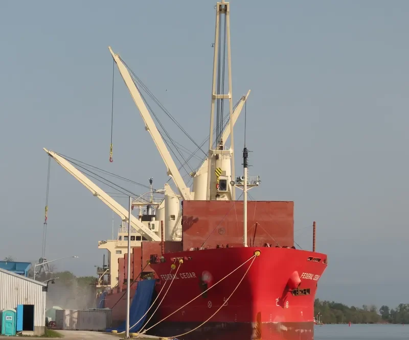 FEDERAL CEDAR Bulk Carrier IMO 9671101 photo 3