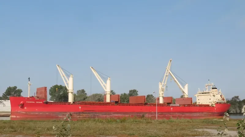 FEDERAL CEDAR Bulk Carrier IMO 9671101 photo 5