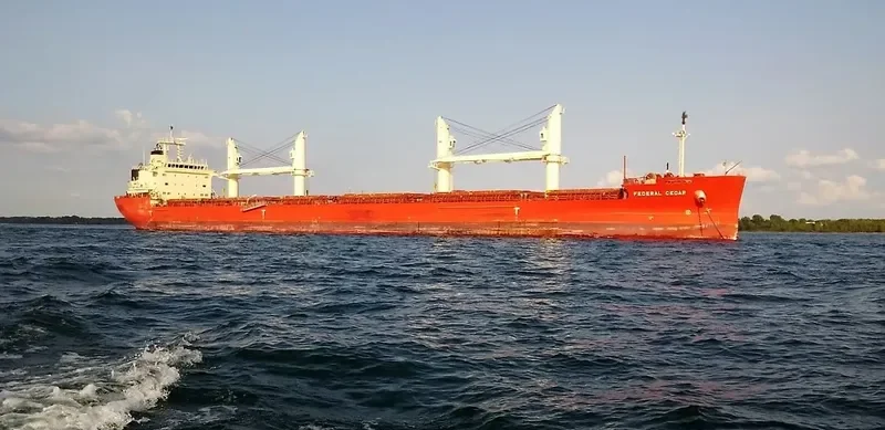 FEDERAL CEDAR Bulk Carrier IMO 9671101 photo 6