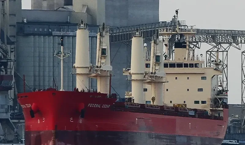 FEDERAL CEDAR Bulk Carrier IMO 9671101 photo 9