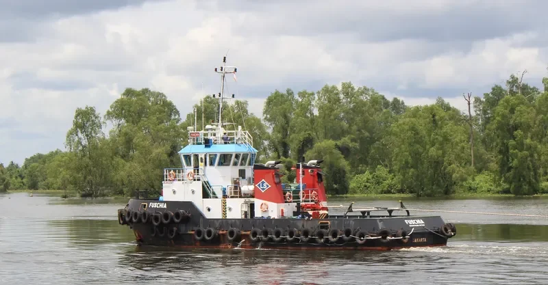 FUSCHIA General Cargo IMO 9671242