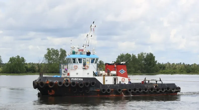 FUSCHIA General Cargo IMO 9671242 photo 3