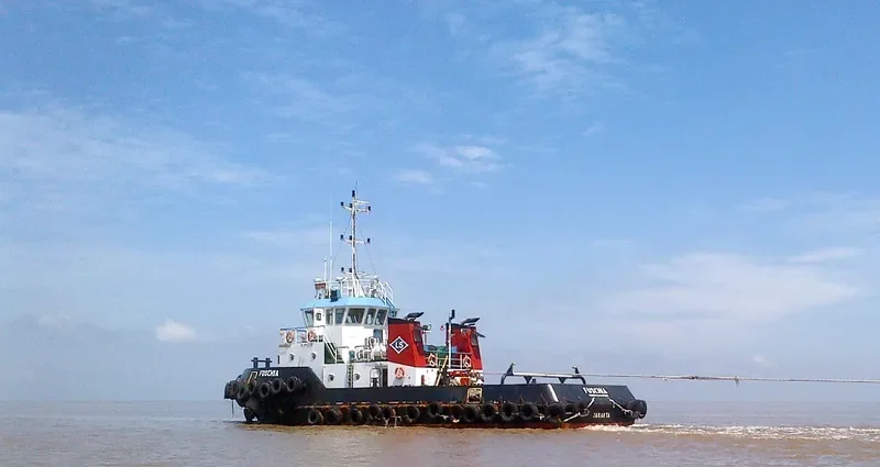 FUSCHIA General Cargo IMO 9671242 photo 4