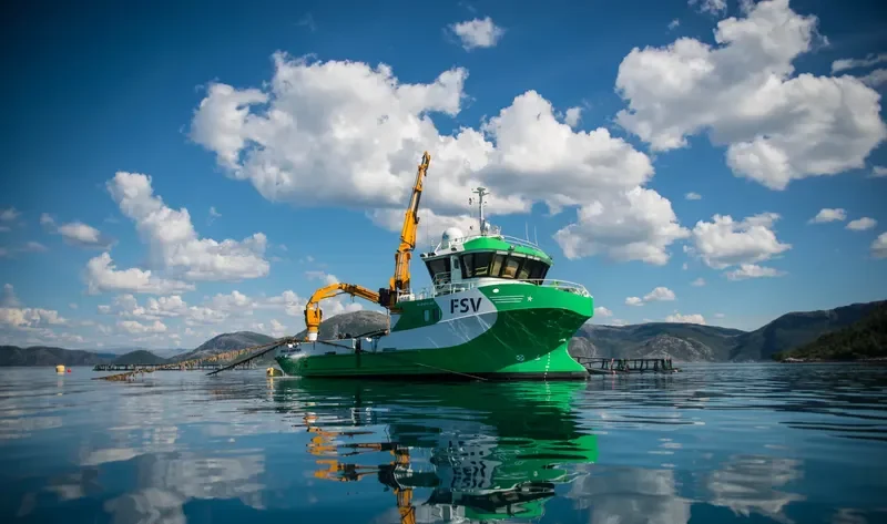 MULTI SERVER General Cargo IMO 9671412 photo 9