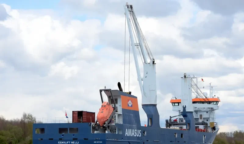EEMSLIFT NELLI Container Ship IMO 9671462 photo 7