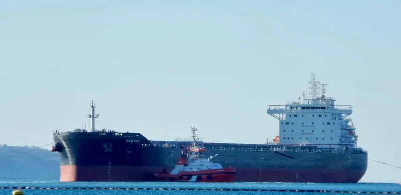 HAOYUE Bulk Carrier IMO 9671802 photo 3