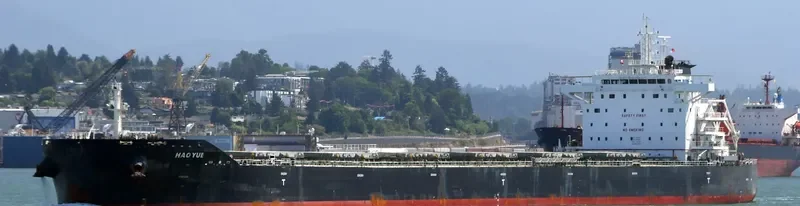 HAOYUE Bulk Carrier IMO 9671802 photo 7