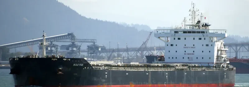 HAOYUE Bulk Carrier IMO 9671802 photo 9