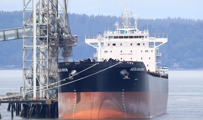 AEOLIAN ARROW Bulk Carrier IMO 9671814 photo 3