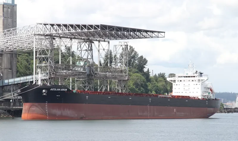 AEOLIAN ARROW Bulk Carrier IMO 9671814 photo 4