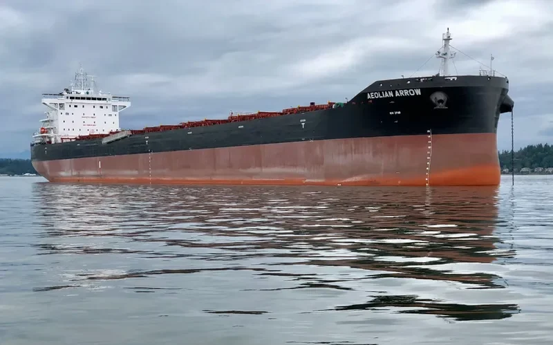 AEOLIAN ARROW Bulk Carrier IMO 9671814 photo 5