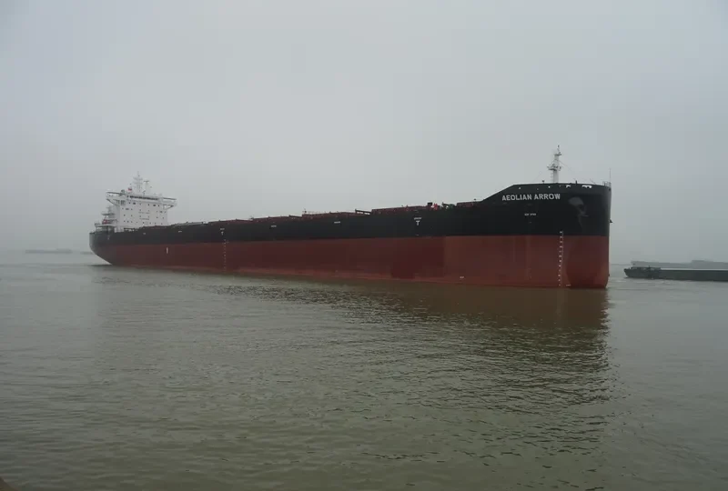 AEOLIAN ARROW Bulk Carrier IMO 9671814 photo 7
