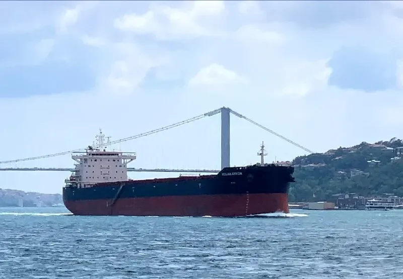AEOLIAN ARROW Bulk Carrier IMO 9671814 photo 9