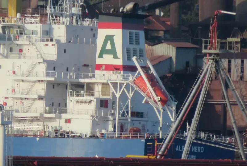 ALPHA HERO Bulk Carrier IMO 9671826