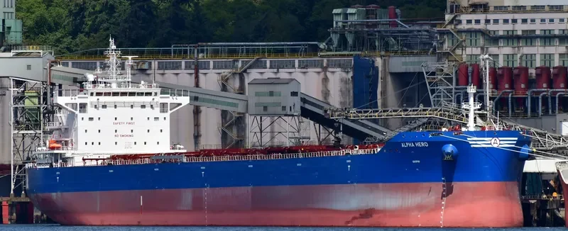 ALPHA HERO Bulk Carrier IMO 9671826 photo 2