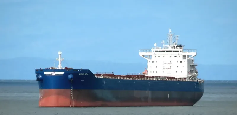 ALPHA HERO Bulk Carrier IMO 9671826 photo 3