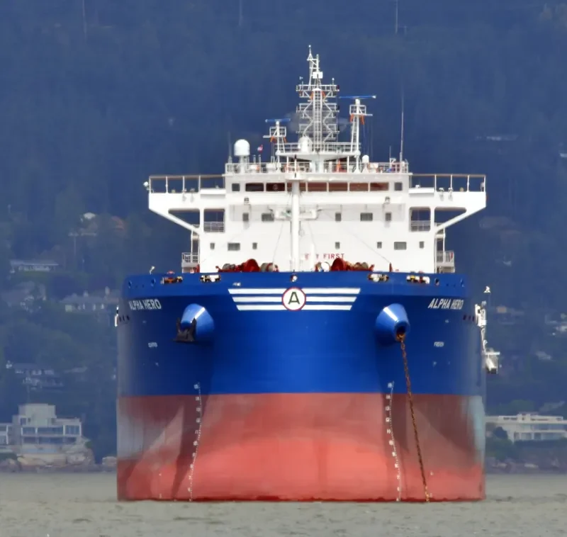 ALPHA HERO Bulk Carrier IMO 9671826 photo 4