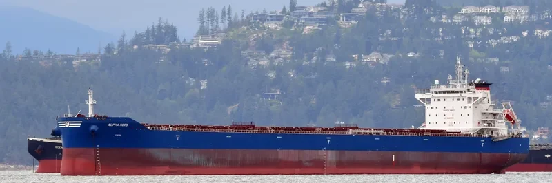 ALPHA HERO Bulk Carrier IMO 9671826 photo 7