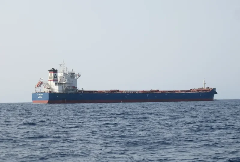 ALPHA HERO Bulk Carrier IMO 9671826 photo 10