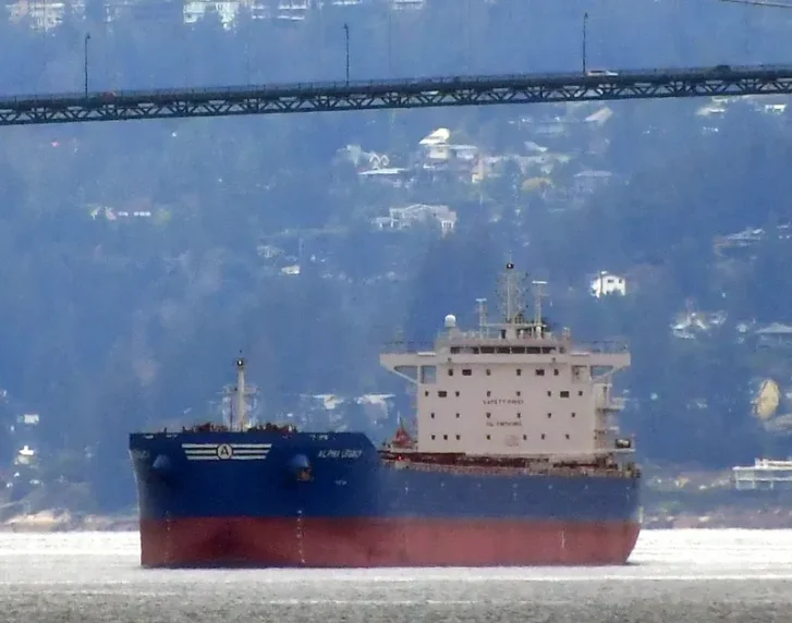 ALPHA LEGACY Bulk Carrier IMO 9671838