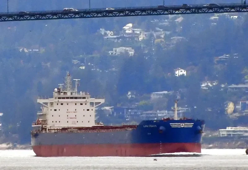 ALPHA LEGACY Bulk Carrier IMO 9671838 photo 2