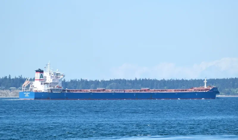 ALPHA LEGACY Bulk Carrier IMO 9671838 photo 3