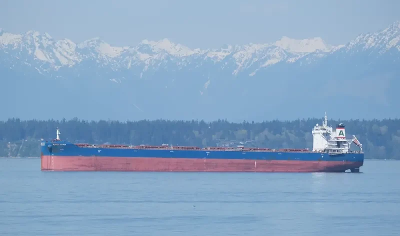 ALPHA LEGACY Bulk Carrier IMO 9671838 photo 5