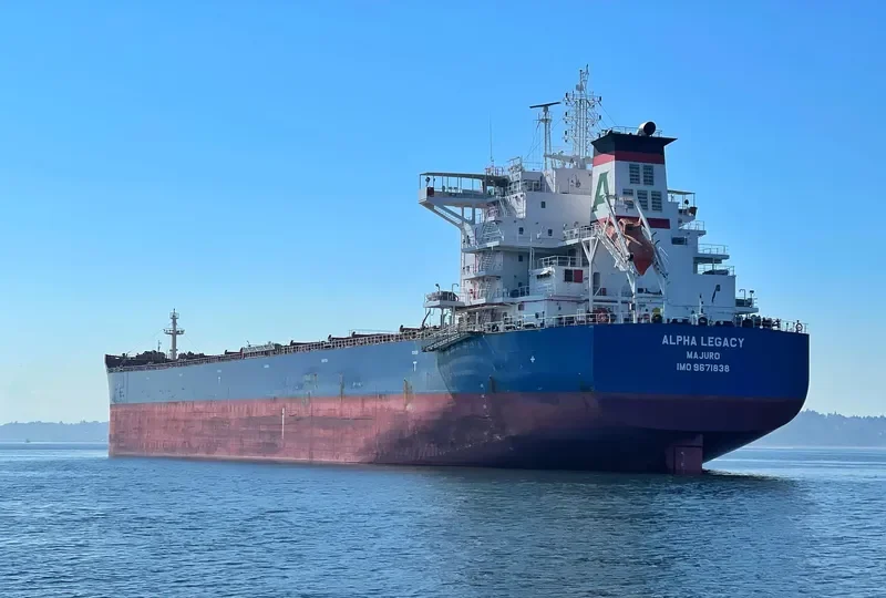ALPHA LEGACY Bulk Carrier IMO 9671838 photo 6