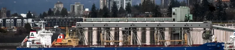ALPHA LEGACY Bulk Carrier IMO 9671838 photo 7