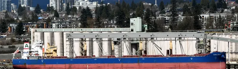 ALPHA LEGACY Bulk Carrier IMO 9671838 photo 8