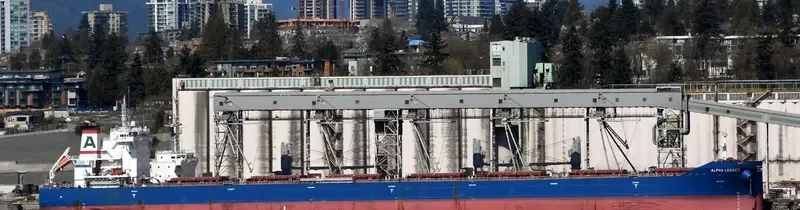ALPHA LEGACY Bulk Carrier IMO 9671838 photo 9