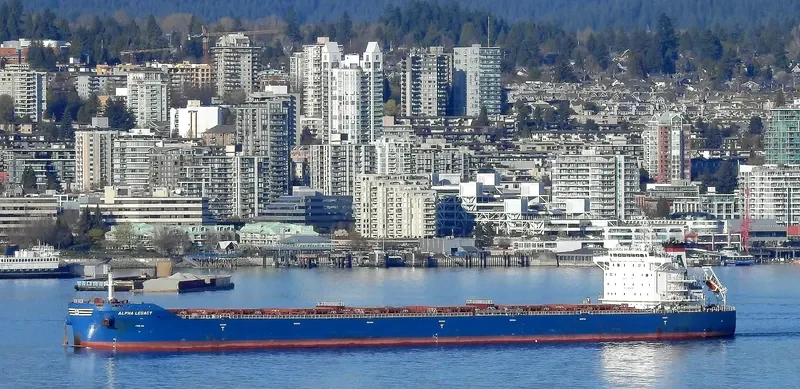 ALPHA LEGACY Bulk Carrier IMO 9671838 photo 10