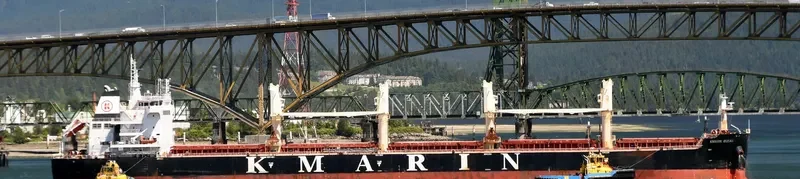 MOUNT ATHOS Bulk Carrier IMO 9672040 photo 3