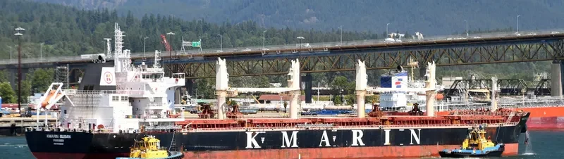 MOUNT ATHOS Bulk Carrier IMO 9672040 photo 4