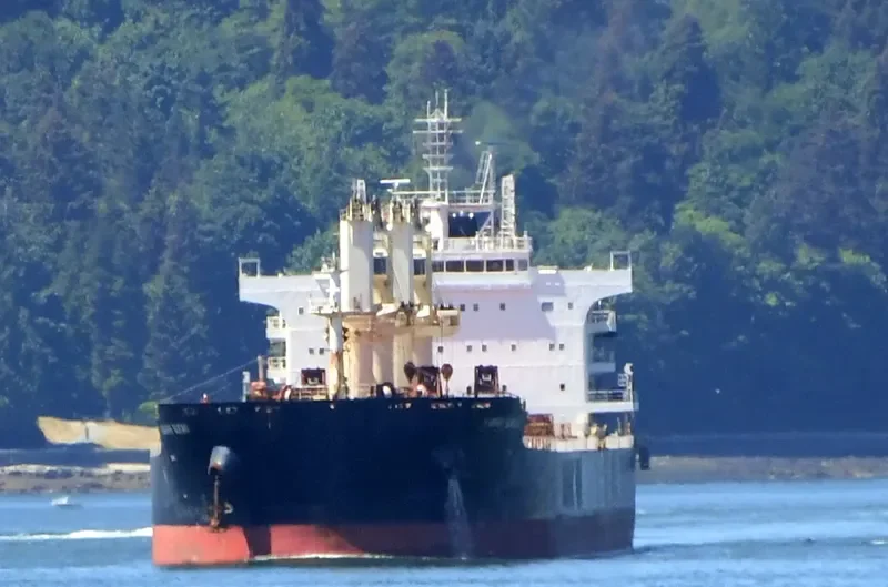 MOUNT ATHOS Bulk Carrier IMO 9672040 photo 5