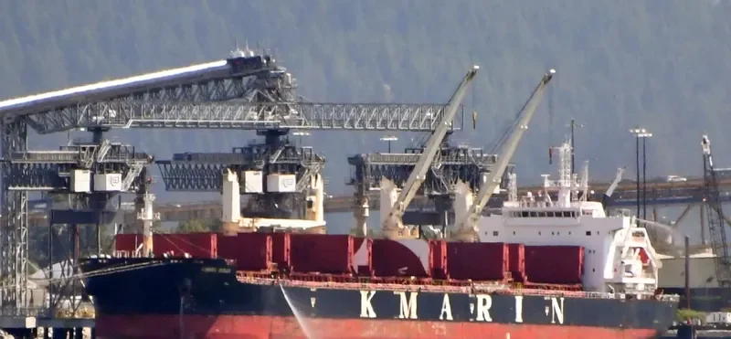 MOUNT ATHOS Bulk Carrier IMO 9672040 photo 6