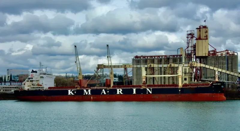 MOUNT ATHOS Bulk Carrier IMO 9672040 photo 8