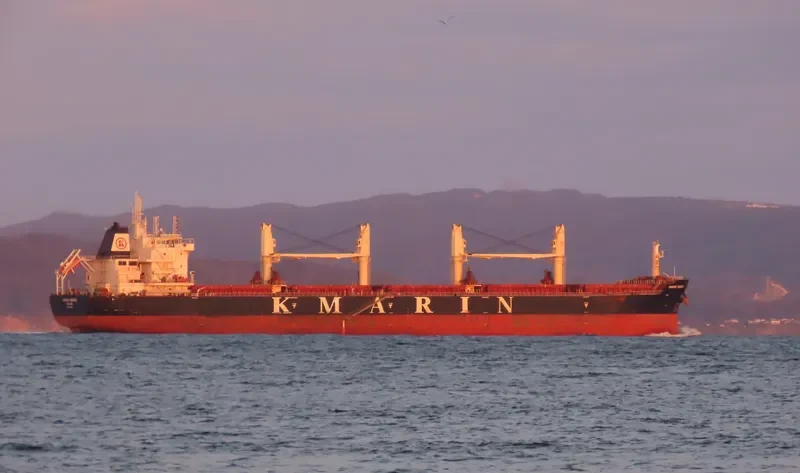 MOUNT ATHOS Bulk Carrier IMO 9672040 photo 10