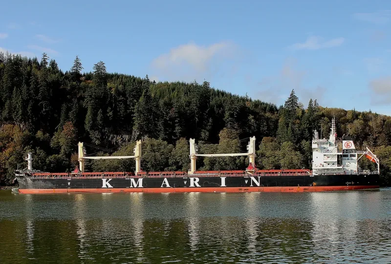 KMARIN ULSAN Bulk Carrier IMO 9672052 photo 6
