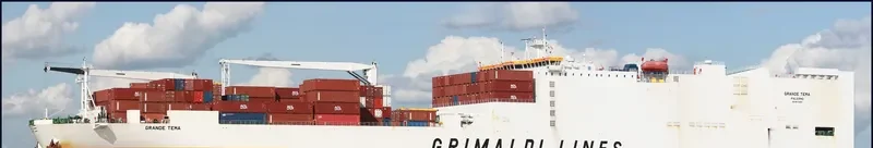 GRANDE TEMA Ro-Ro IMO 9672090 photo 7