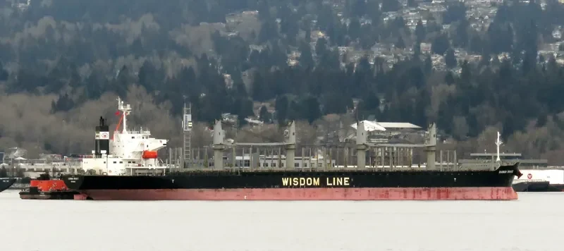AMIRA HANA Bulk Carrier IMO 9672210