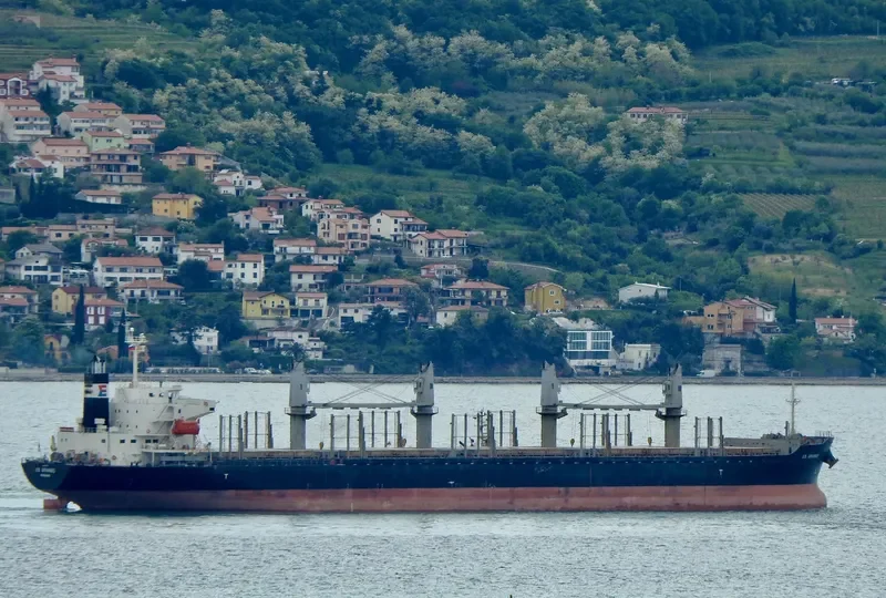 AMIRA HANA Bulk Carrier IMO 9672210 photo 8