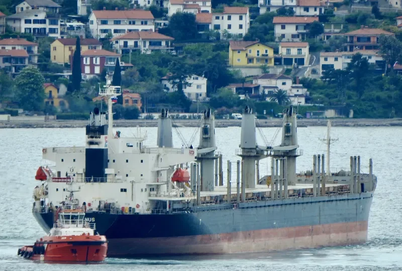 AMIRA HANA Bulk Carrier IMO 9672210 photo 9