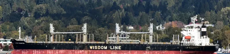 DAIWAN CHAMPION Bulk Carrier IMO 9672222 photo 2